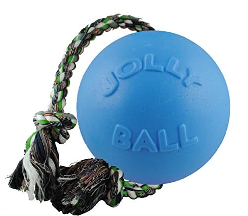 Jolly Pets, Rope and Ball Toy - Medium